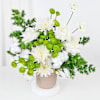 Buy Serene White Blooms In Striped Ceramic Planter