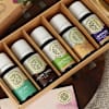 Gift Serenity Scents Mother's Day Fragrance Oil - Set Of 5