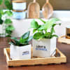 Gift Set of 2 Ceramic Planters With Logo