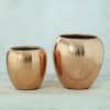Gift Set of 2 Copper Finish Planters (Without Plants)