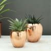 Set of 2 Copper Finish Planters (Without Plants) Online