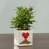 Shop Set Of 2 Personalized I Love You Ceramic Planters
