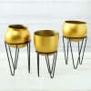 Gift Set of 3 Brass Finish Planters with Stand (Without Plants)