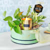 Shades of Green New Year Hamper Online
