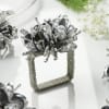 Gift Silver Square Floral Napkin Rings (Set of 6)