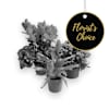 Single plant  florist's choice Online