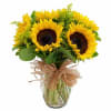 Six Yellow Sunflowers Bouquet Online