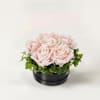 Small Flower Box, Pink Roses Online