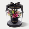 Small Lilies Box Premium Online