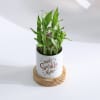 Buy Smile Sparkle Shine Two-Layered Bamboo Plant With Personalized Planter