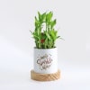 Smile Sparkle Shine Two-Layered Bamboo Plant With Personalized Planter Online