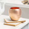 Shop Snake Plant in Copper Planter