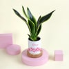 Gift Snake Superba Plant with Personalized Vase