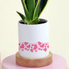 Buy Snake Superba Plant with Personalized Vase