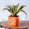 Gift Song Of India Plant In World's Best Mom Ceramic Planter