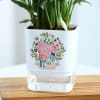 Buy Soothing Love - Peacelily Plant With Self Watering Planter