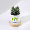 Buy Sorry I Was A Prick - Haworthia Succulent With Personalized Pot