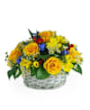Special Online