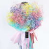 Buy Spirited Hues Friendship Day Bouquet