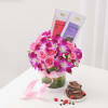 Buy Splendid Floral And Chocolate Combo