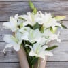 Spotlight - 15 White Lily Blooms Bouquet Online