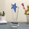 Gift Star Award Trophy - Customized with Company Name & Message