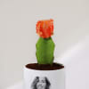 Gift Stellar Splendor - Moon Cactus With Pot - Personalized