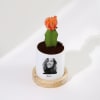 Shop Stellar Splendor - Moon Cactus With Pot - Personalized
