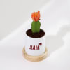 Gift Succa For Christmas - Moon Cactus With Personalized Pot