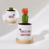 Succa For Christmas - Moon Cactus With Personalized Pot Online