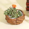 Gift Succulent in a Hand Holding Ceramic Planter