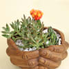 Buy Succulent in a Hand Holding Ceramic Planter