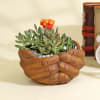 Succulent in a Hand Holding Ceramic Planter Online