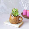 Gift Succulent In Ceramic Kitty Planter