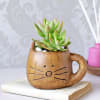 Succulent In Ceramic Kitty Planter Online