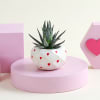Gift Succulent Love ( set of 2 planters)