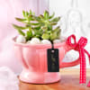 Gift Succulent Love Teacup