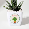 Gift Sucker For You Haworthia Succulent With Pot