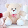Buy Sugar And Spice In Vase With Teddy
