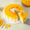 Shop Summer Delight Mango Cream Cake  (1 kg)