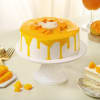 Gift Summer Delight Mango Cream Cake  (2 kg)