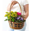 Gift Summer Floral Basket