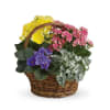 Summer Floral Basket Online