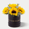 Sunflower Box Small Online