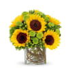 Sunflower Surprise Online