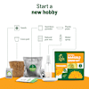 Buy Sunshine Marigold Grow Kit