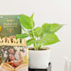 Buy Sunshine Surprise For MAMA