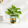 Gift Super Cool Boss - Money Plant In Personalized Mug