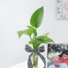 Buy Superdad Personalized Photo Stand With Money Plant