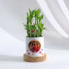 Gift Sweet And Sassy Saas - Bamboo And Money Plant With Personalized Planter
